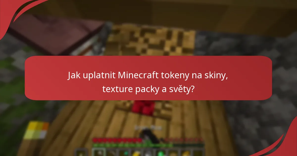 Jaké typy skinů, texture packů a světů lze uplatnit?
